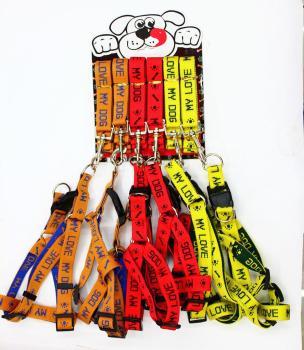 寵物用品中的必備工具 牽引繩與項圈