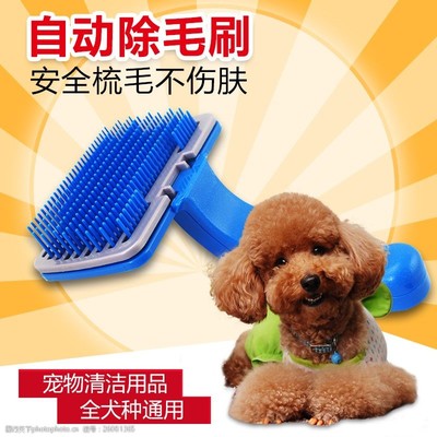 寵物用品選購指南 打造愛寵的健康與幸福生活