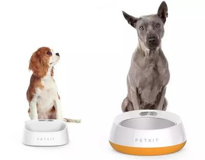 小佩寵物獲億元融資，聚焦“品類+海外+線下”打造寵物生活新生態