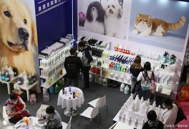 2024中國(寧波)國際寵物用品博覽會 聚焦人寵和諧，引領行業新風尚