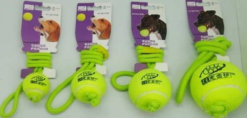 寵物玩具新風尚 源自德國的戲寵Pawsfly，如何重新定義互動樂趣