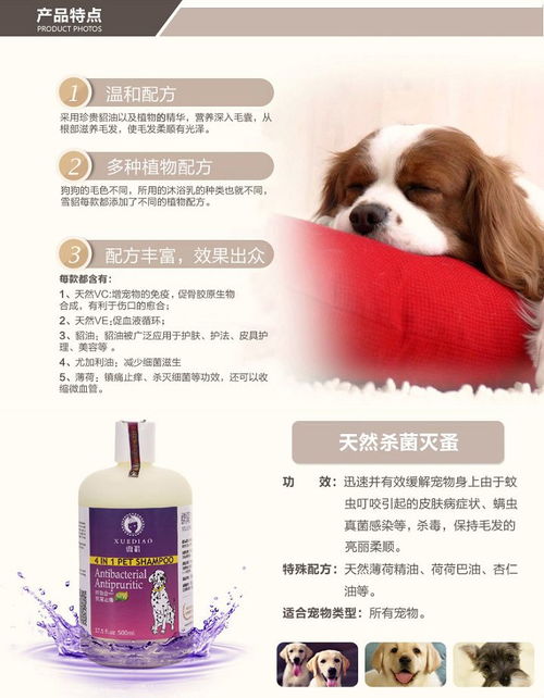 雪貂狗香波補鈣套裝 專業寵物護理，守護愛犬健康